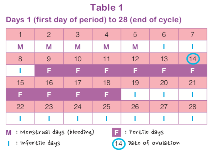 When are a woman´s fertile days?